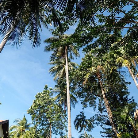 Patong Phuket Leelavadee Hua Ting Resort מראה חיצוני תמונה