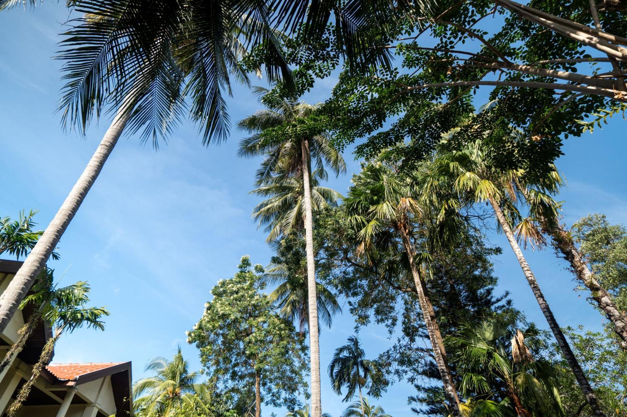 Patong Phuket Leelavadee Hua Ting Resort מראה חיצוני תמונה